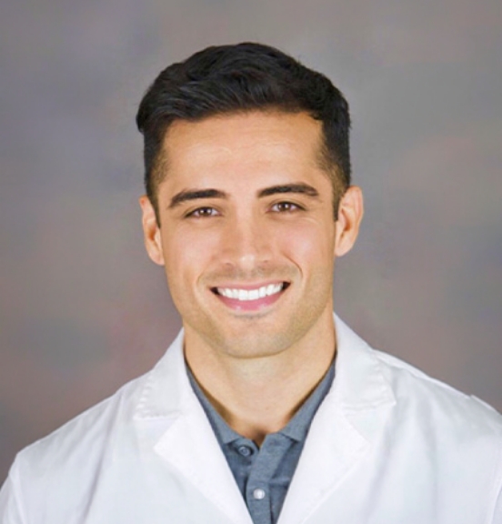 wolf dental dentists 